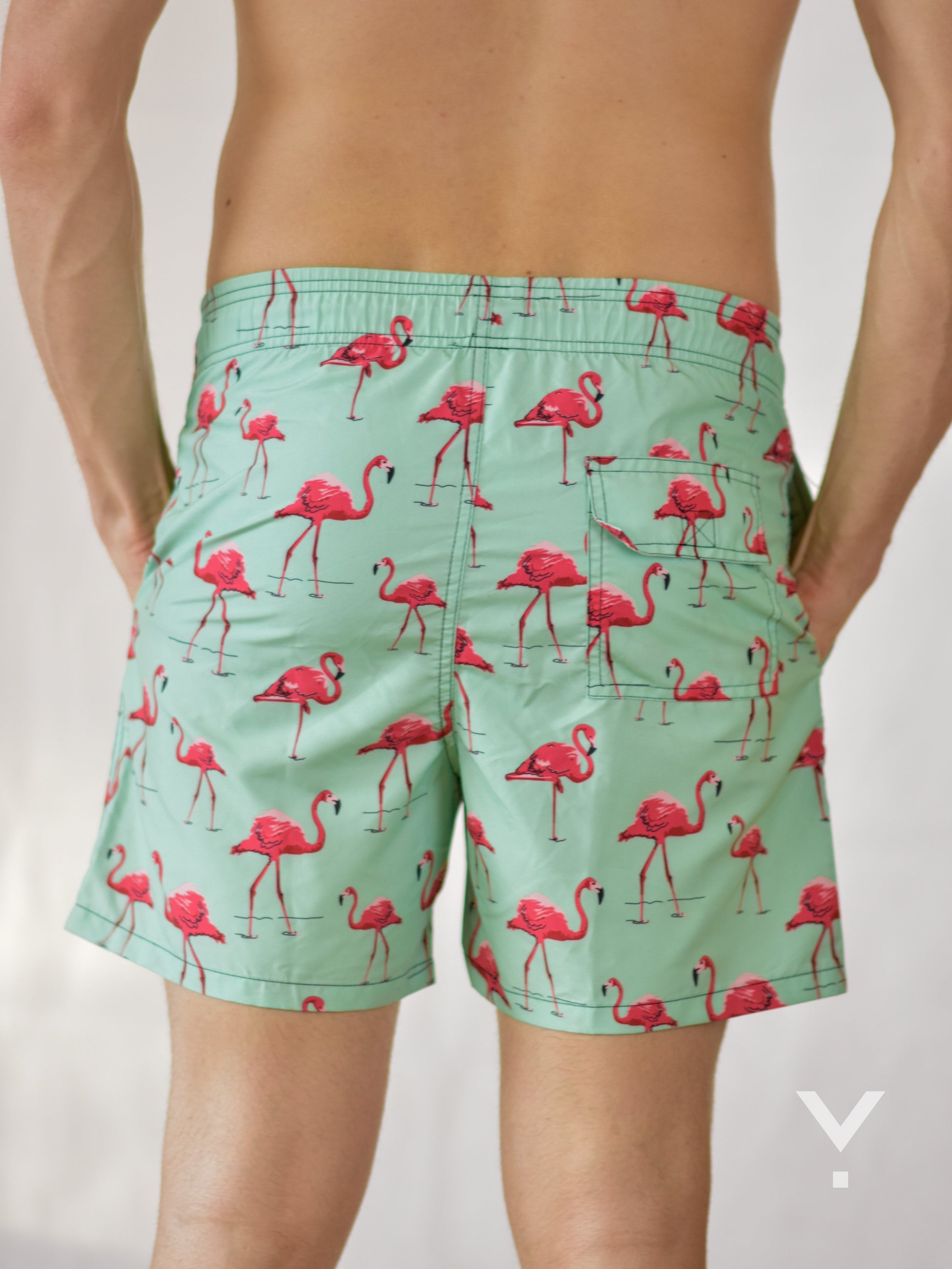 Flammy Swim Shorts Aquamarine - Swim Shorts | AVAYOS