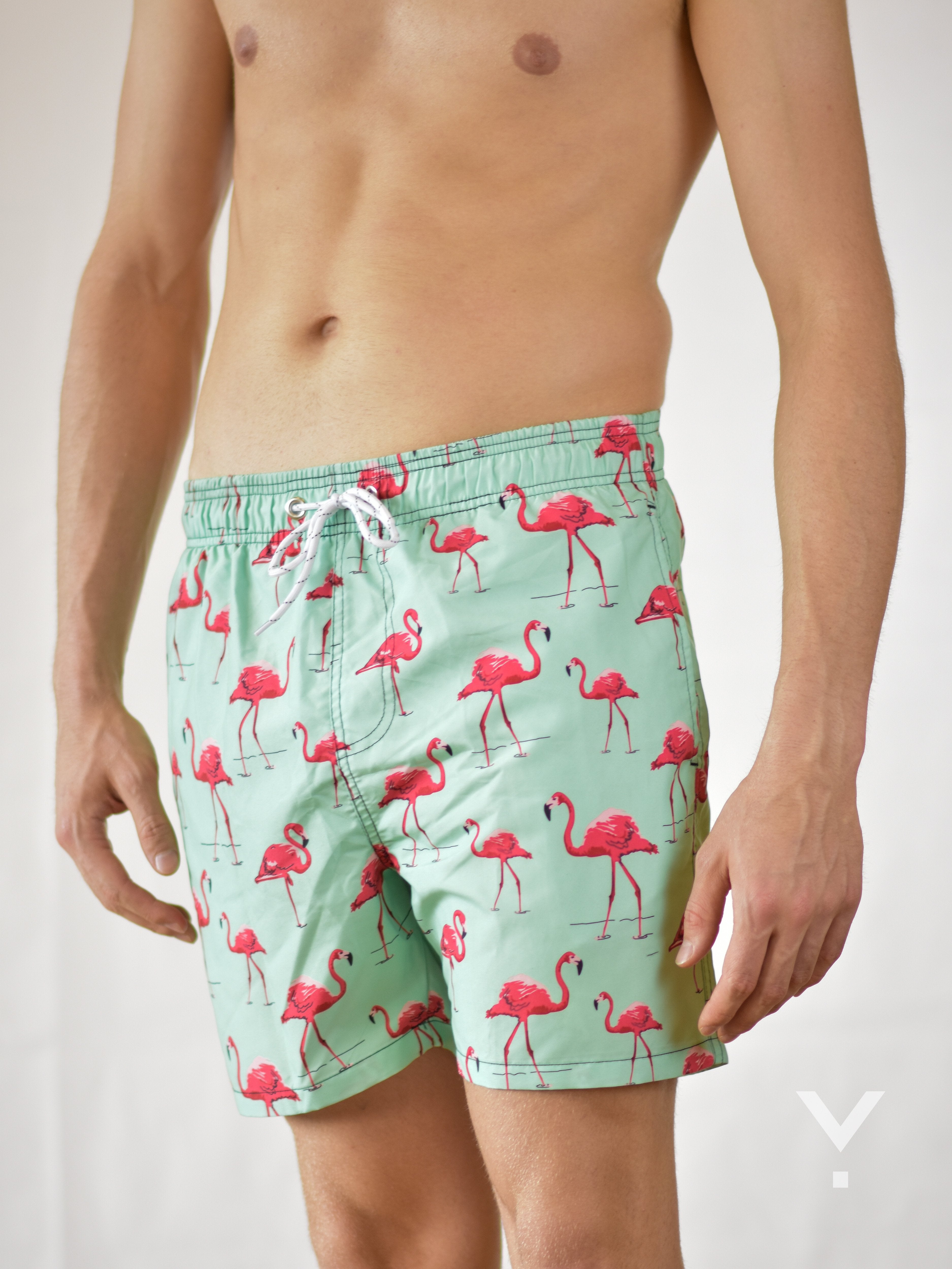 Flammy Swim Shorts Aquamarine - Swim Shorts | AVAYOS