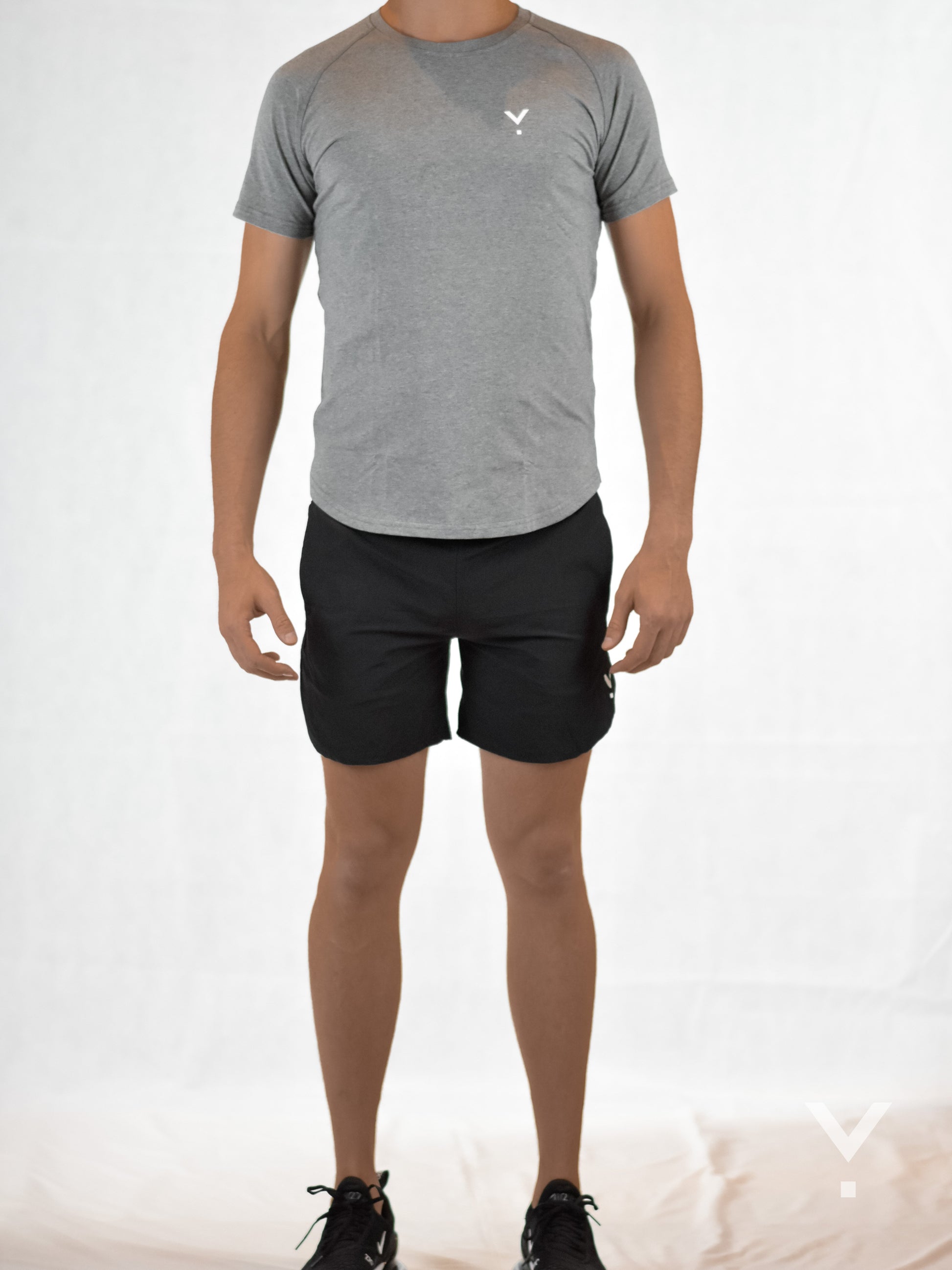 Section T-Shirt Grey - Mens T-shirts | AVAYOS