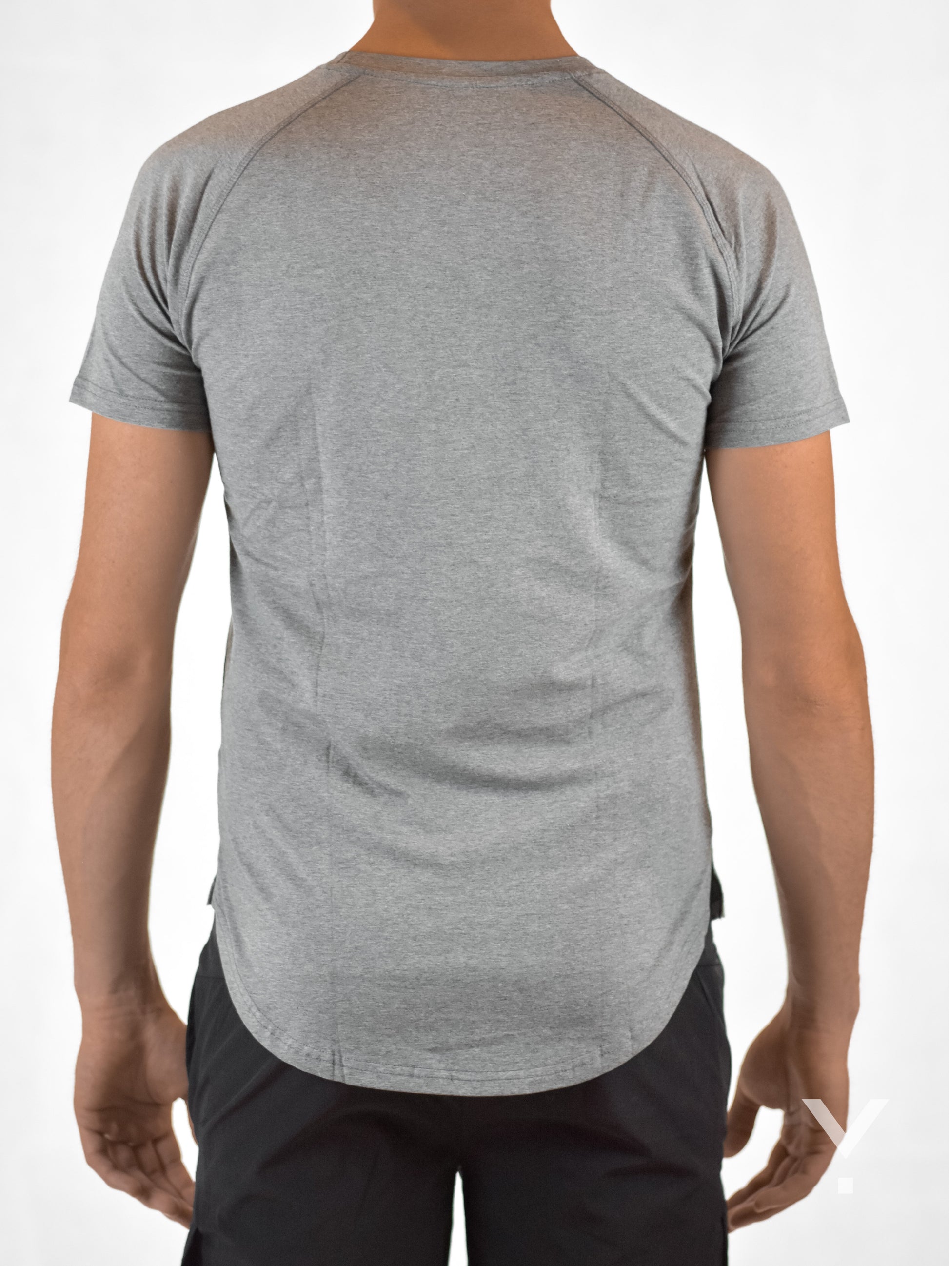 Section T-Shirt Grey - Mens T-shirts | AVAYOS