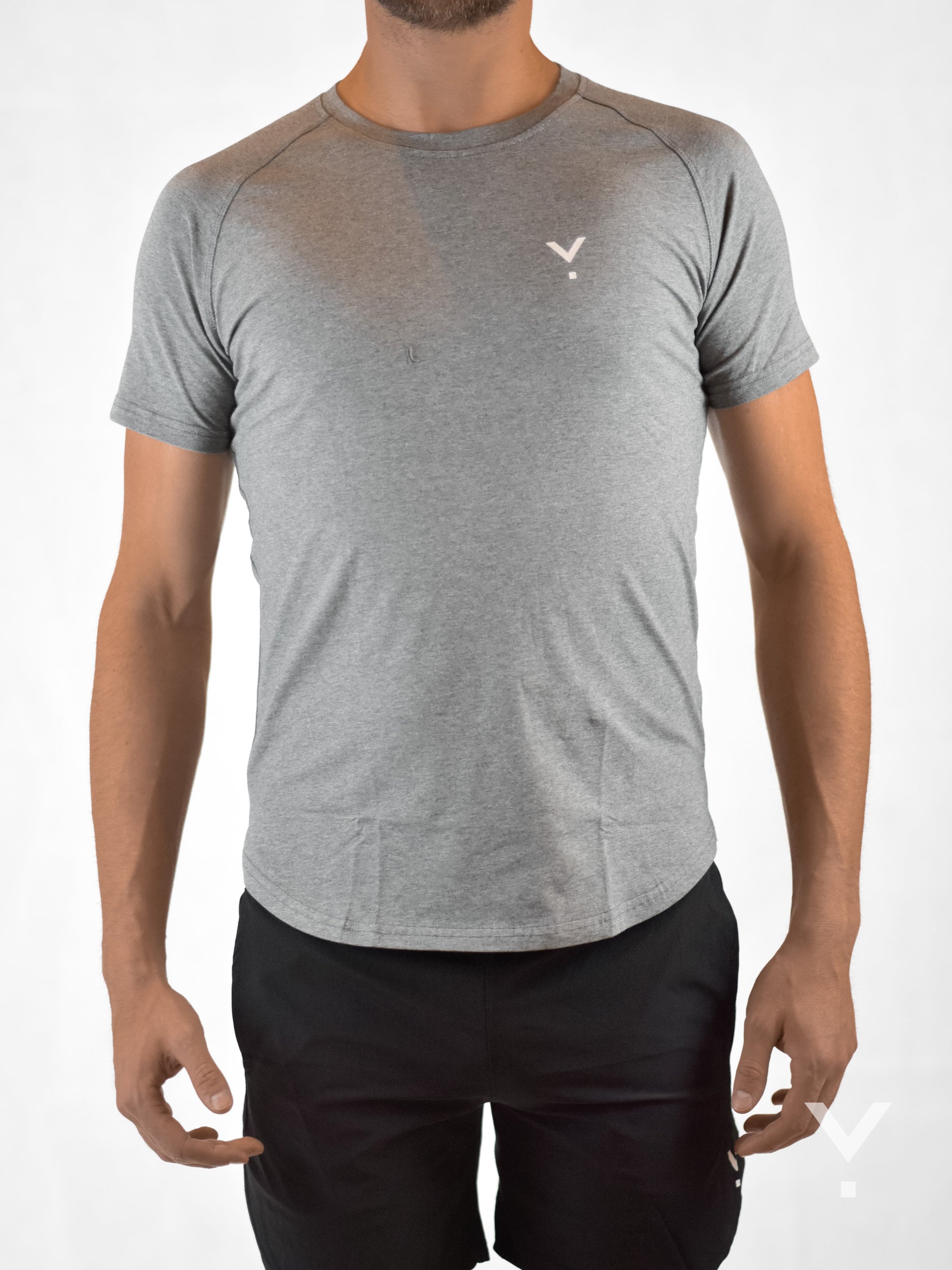 Section T-Shirt Grey - Mens T-shirts | AVAYOS