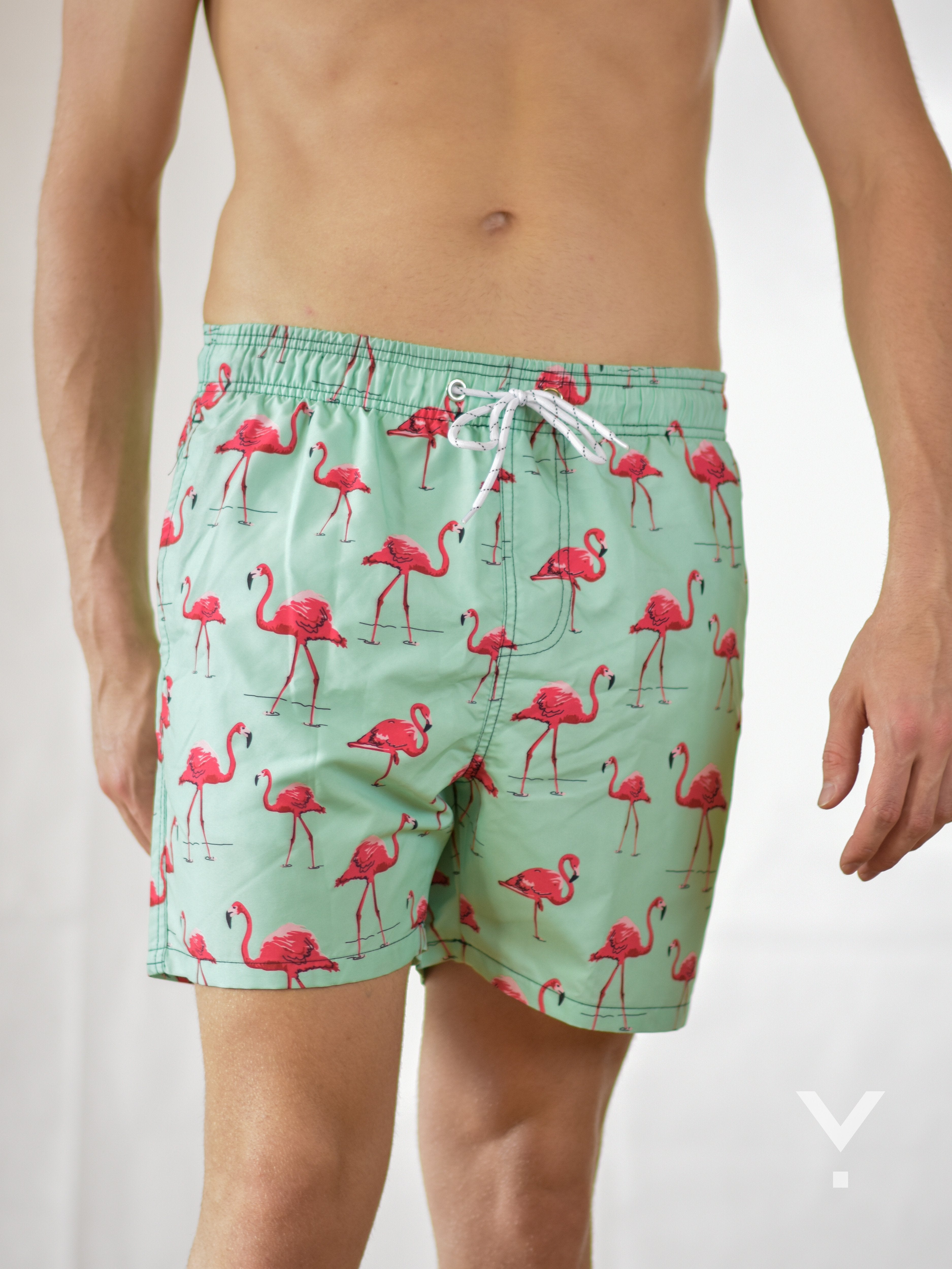 Aquafina shorts hot sale