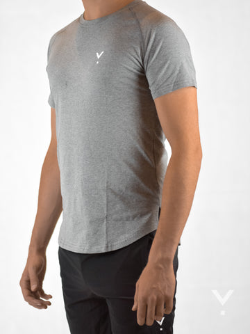 Section T-Shirt Grey - Mens T-shirts | AVAYOS