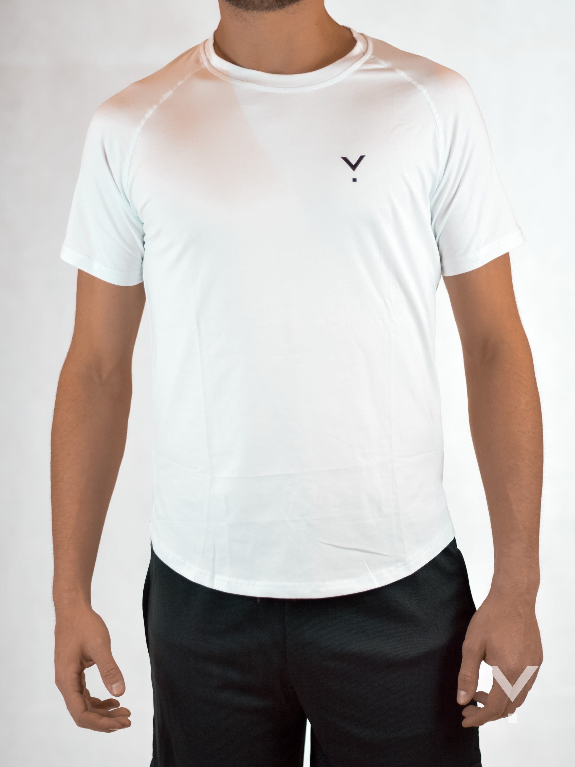 Section T-Shirt White - Mens T-shirts | AVAYOS