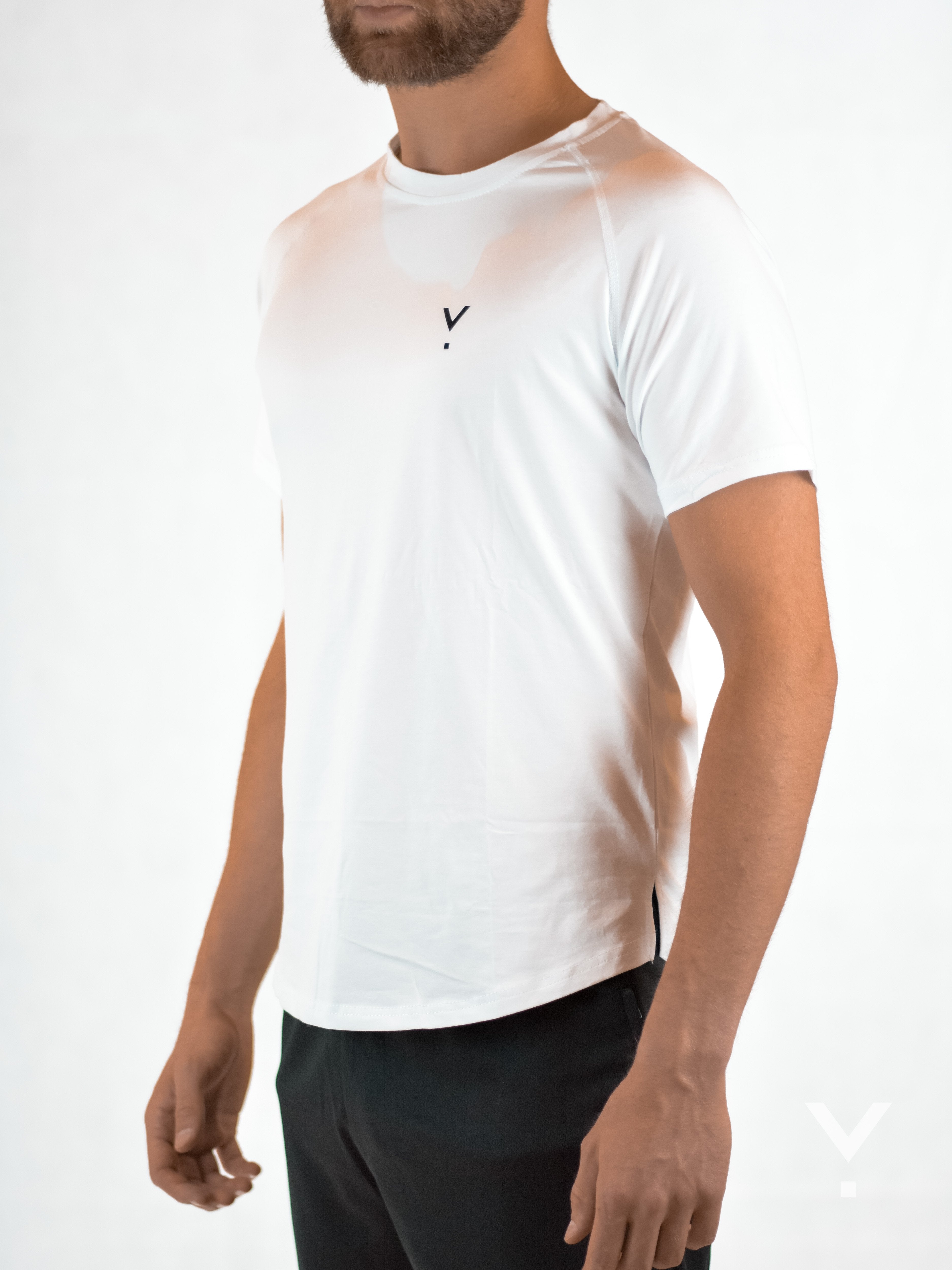 Section T-Shirt White - Mens T-shirts | AVAYOS